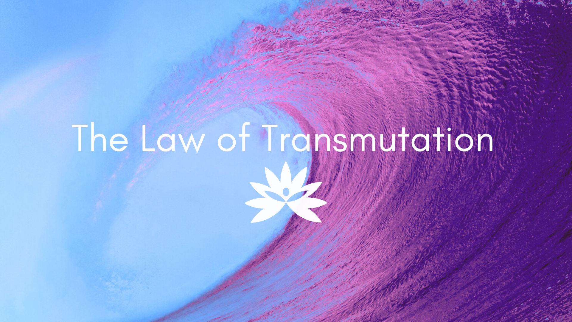 Reality Formula Live - February 6, 2024