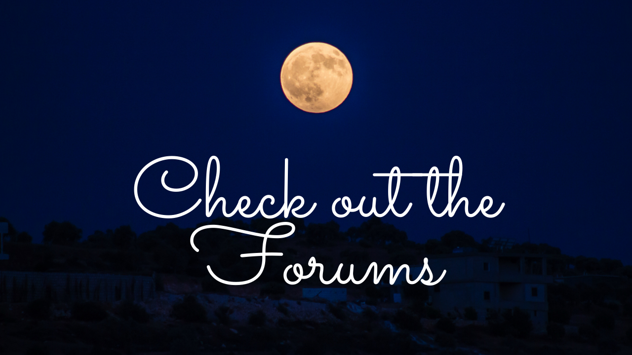 We have added the Forums feature back!