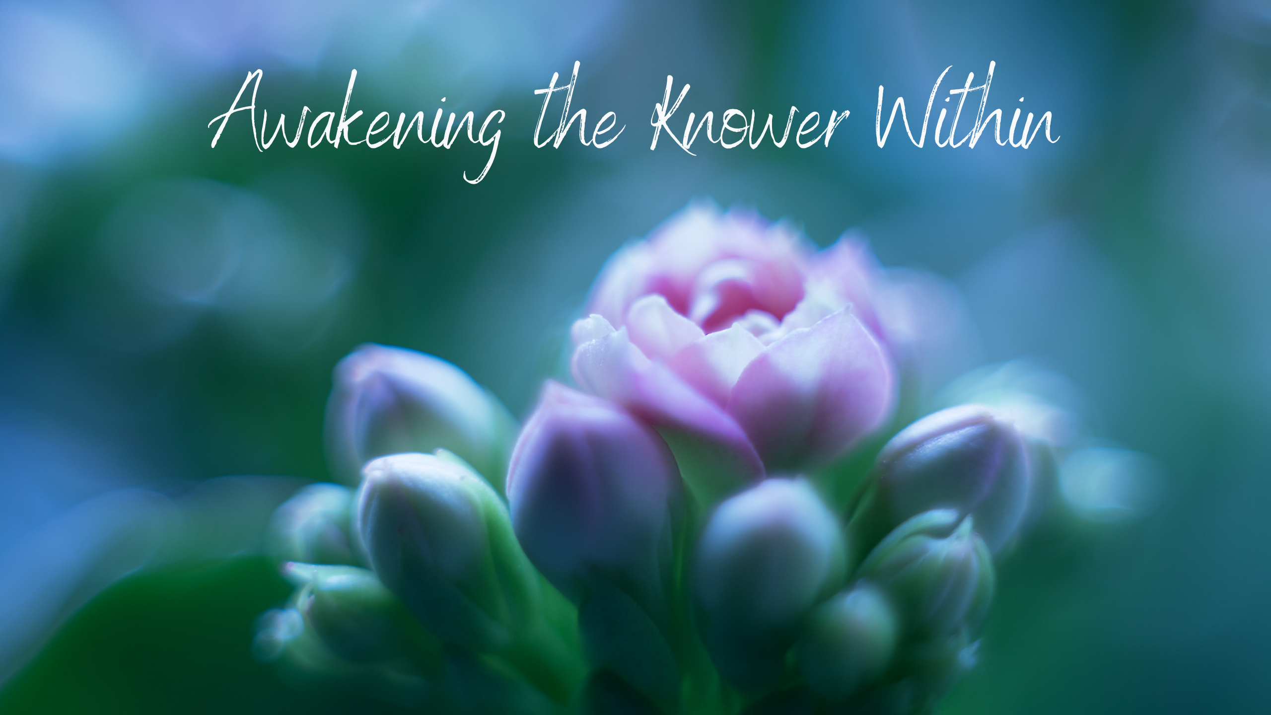 Reality Formula Live - May 18, 2021