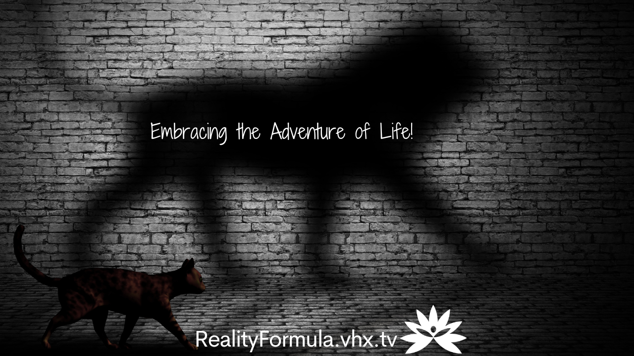 Reality Formula Live on August 30, 2022