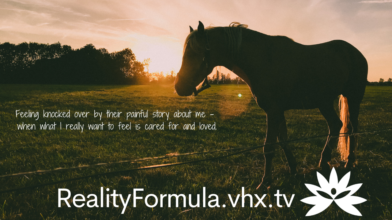 Reality Formula Live - May 24, 2022