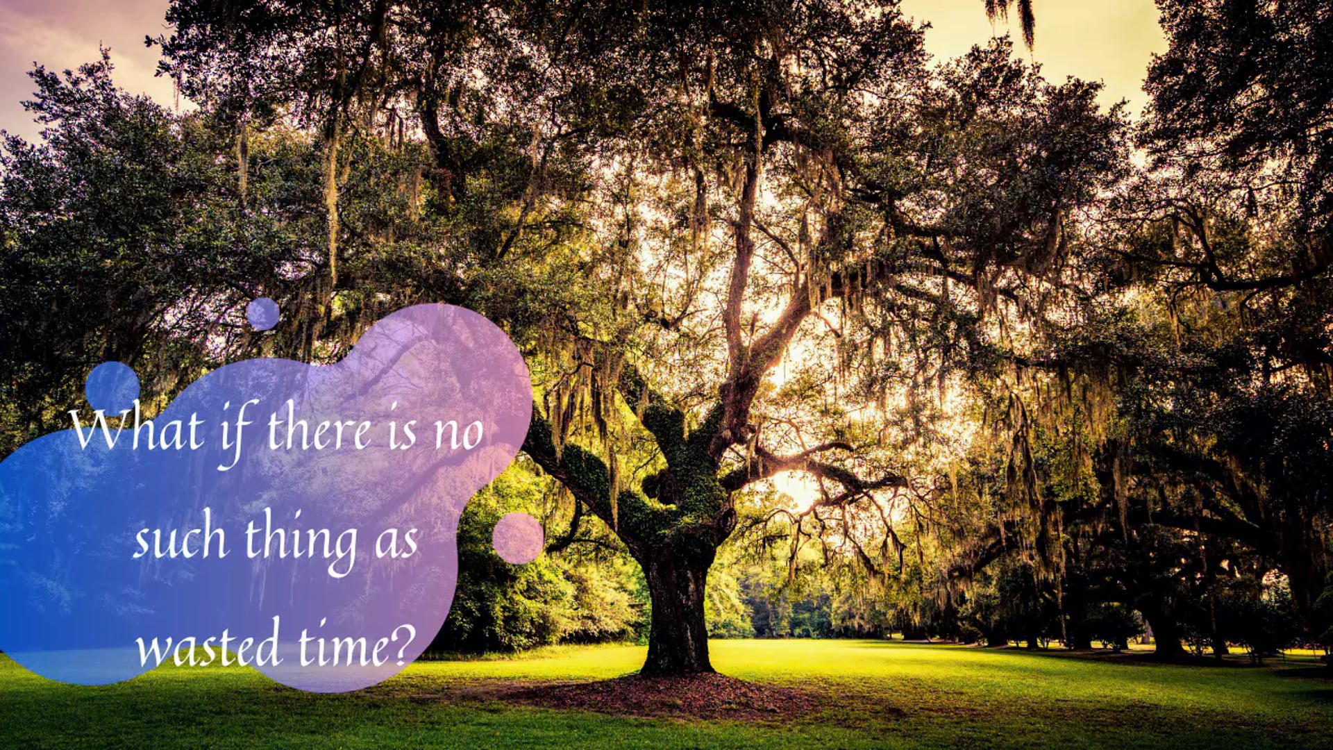 Reality Formula Live - February 16, 2021