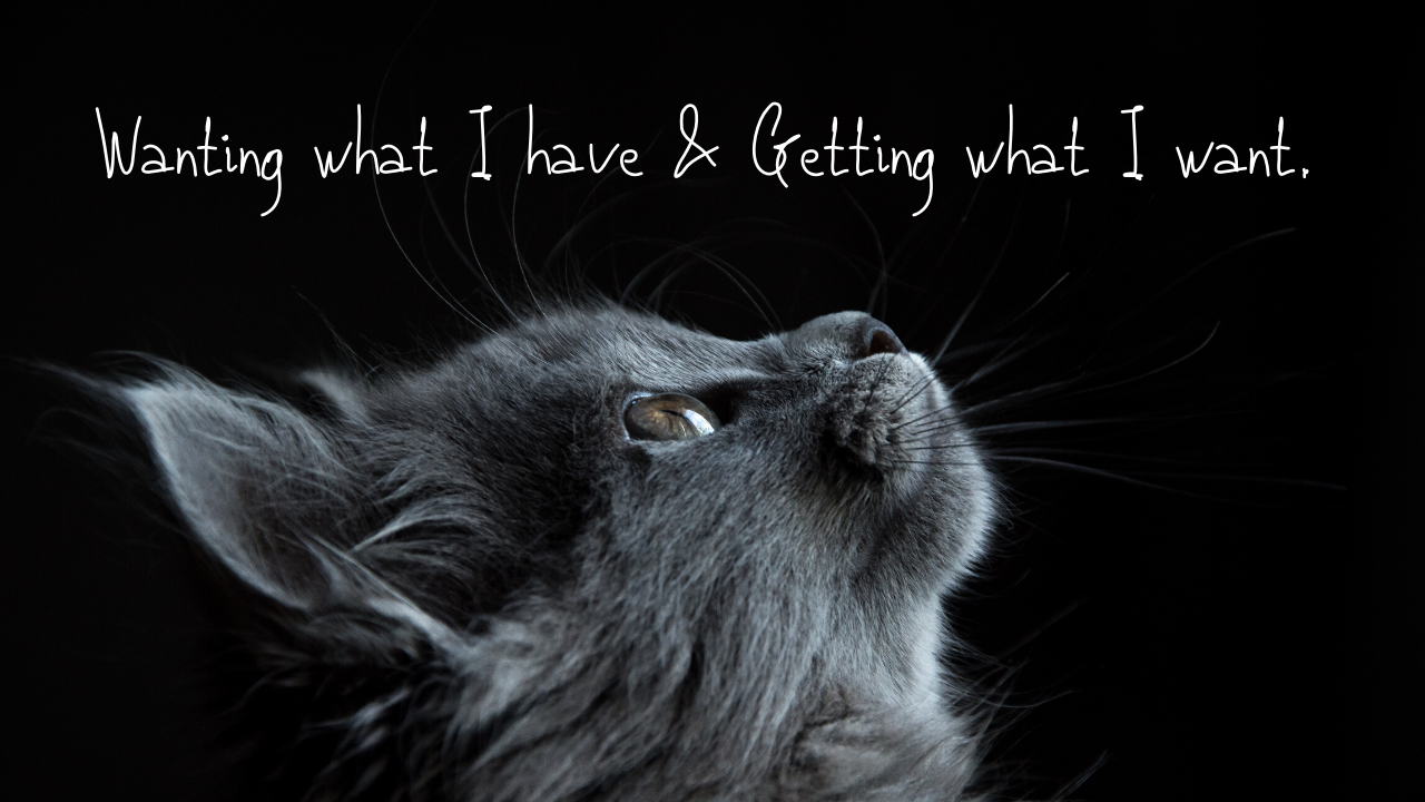 Reality Formula Live - February 4, 2020