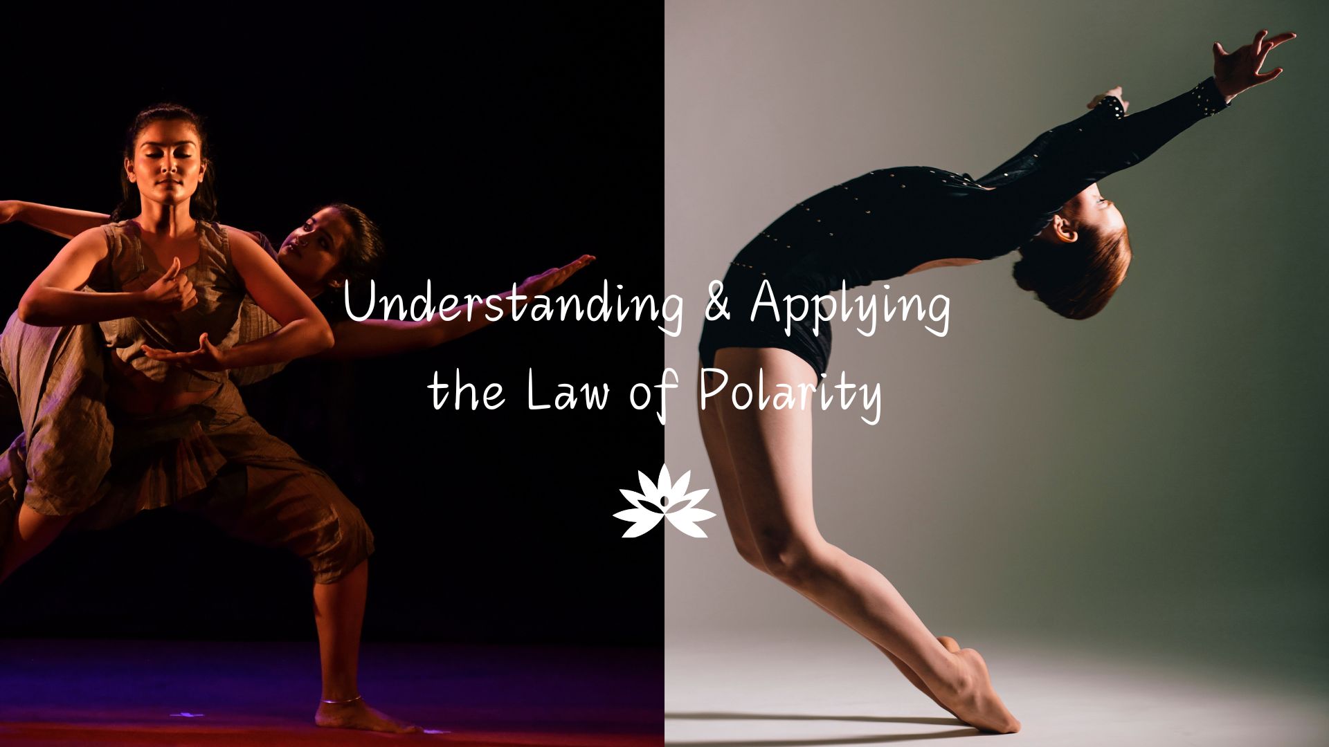 Pathways to Peace: December 3, 2024