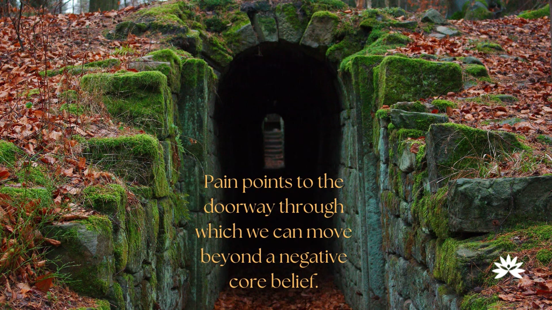 Pathways to Peace: January 21, 2025