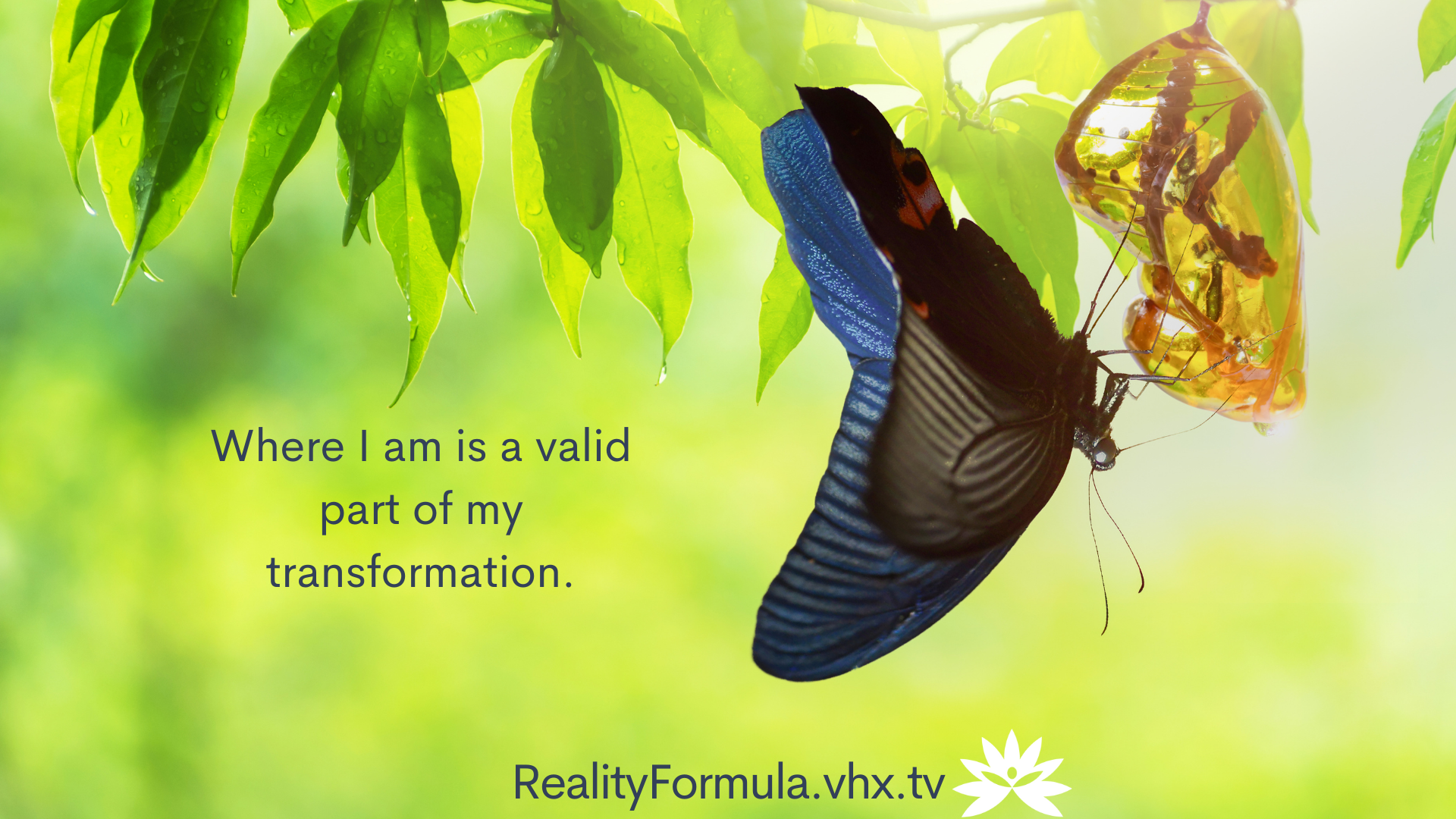 Reality Formula Live - July 6, 2022