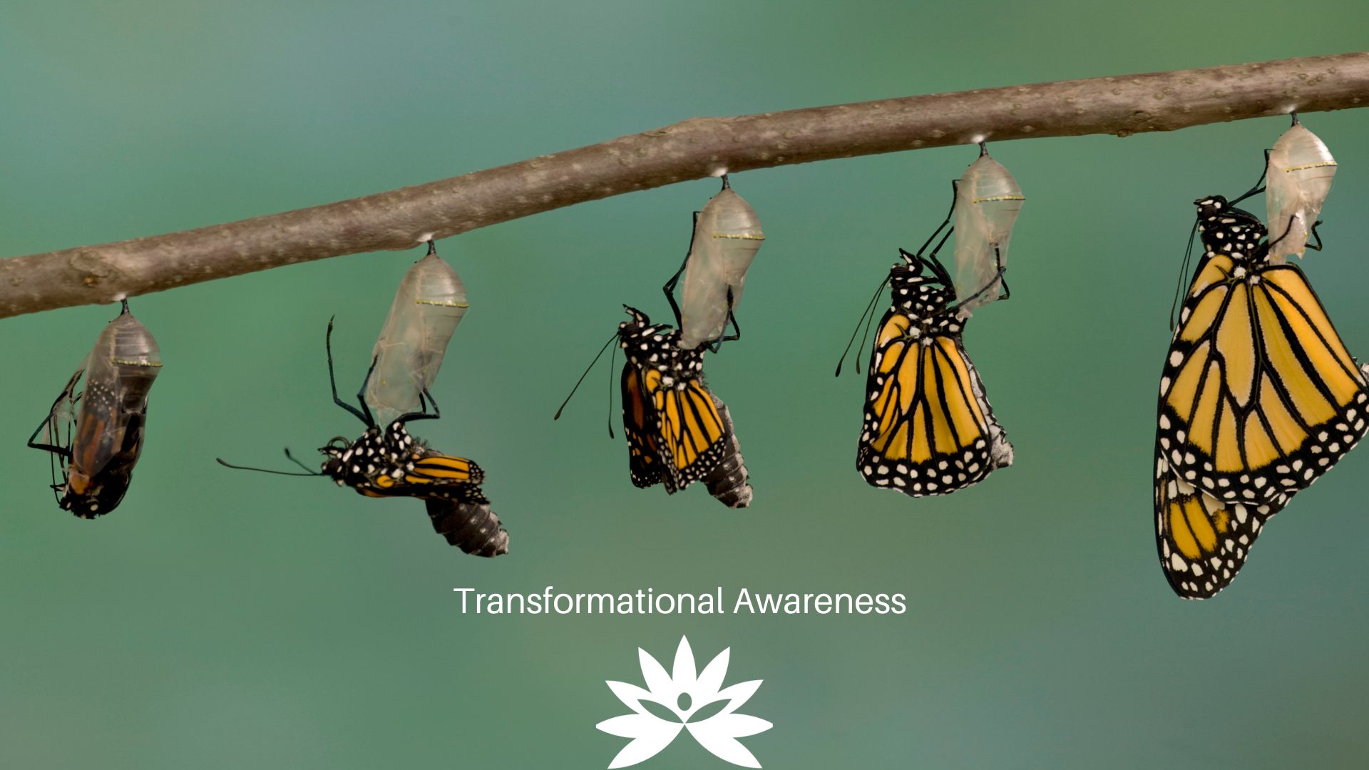 Reality Formula Live - May 10, 2023