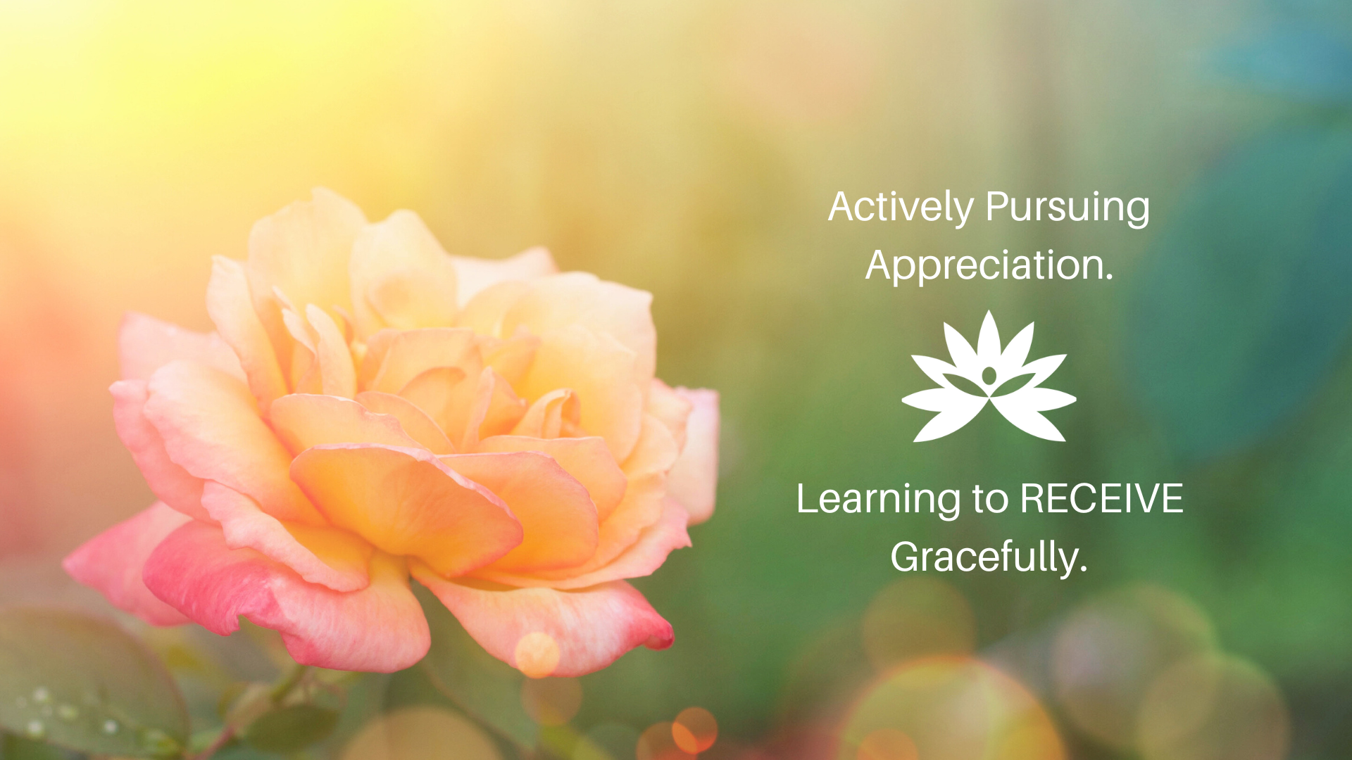 Reality Formula Live - May 23, 2023