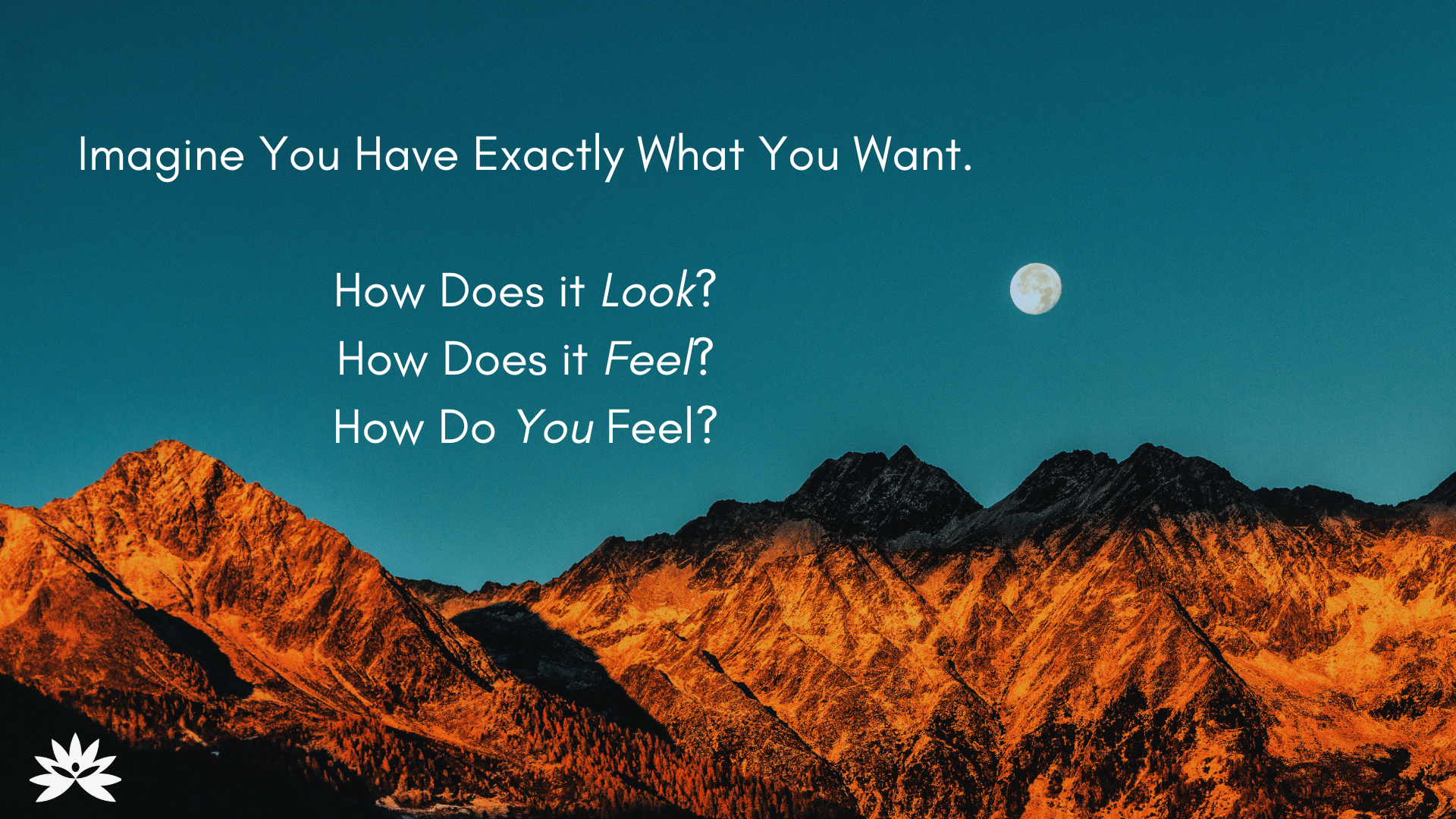 Reality Formula Live - February 20, 2024