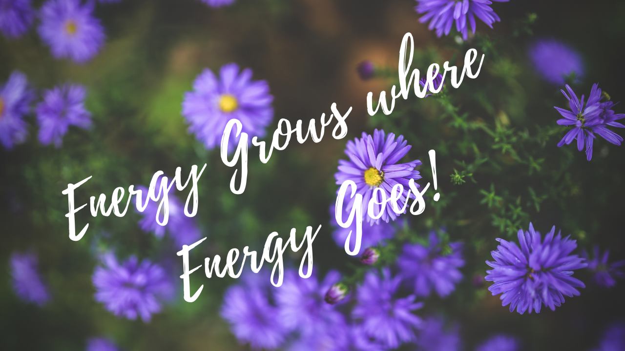 Reality Formula Live, August 21, 2019