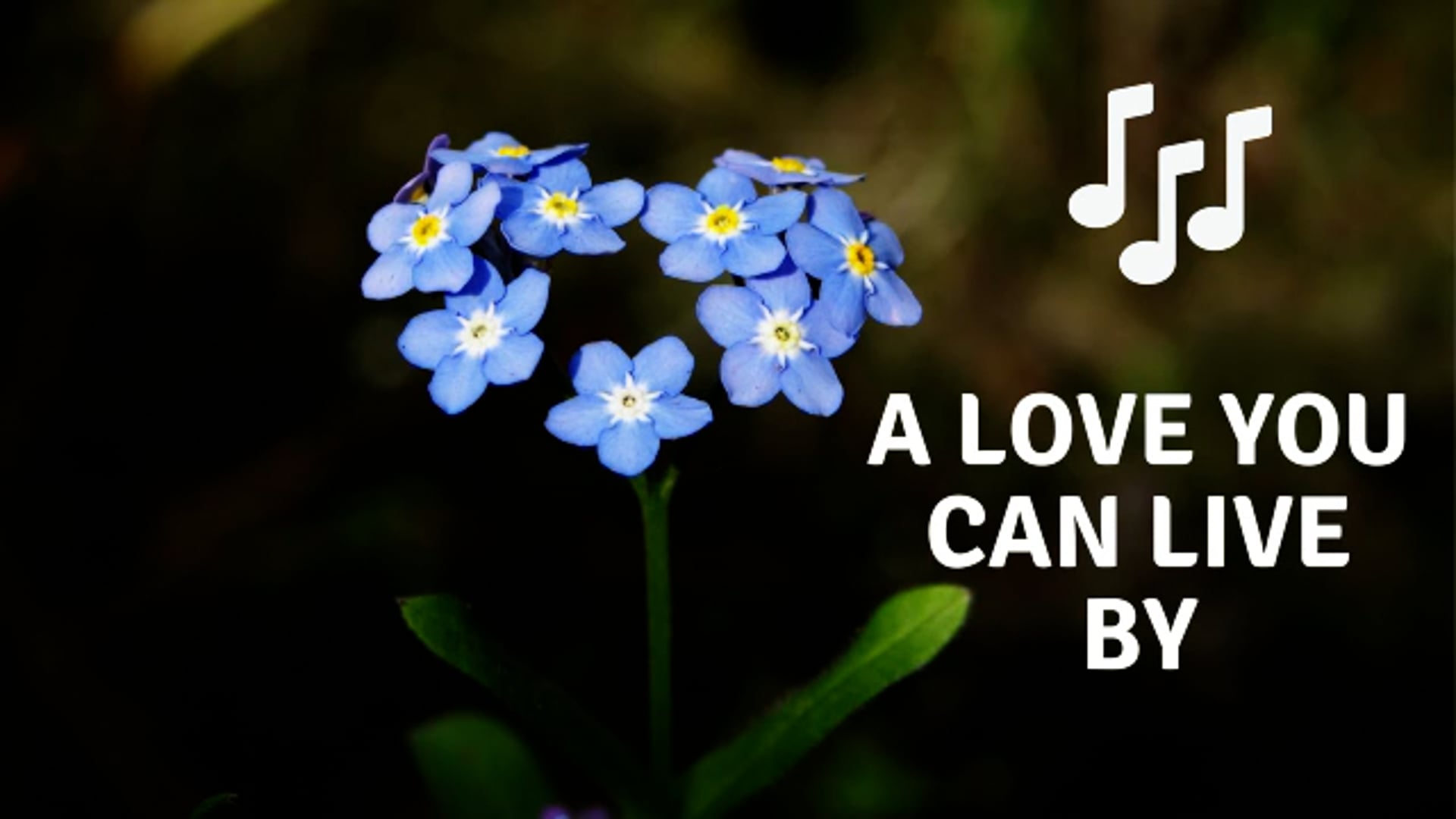 Reality Formula Live - September 8, 2021