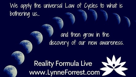 Reality Formula Live Video