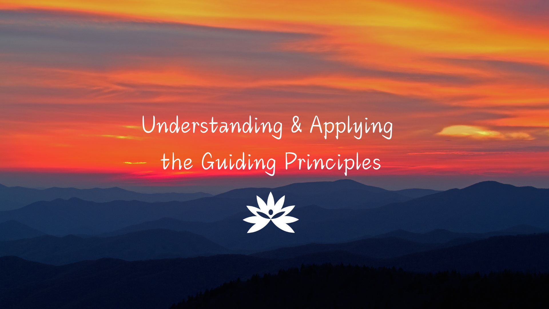 Pathways to Peace: November 19, 2024