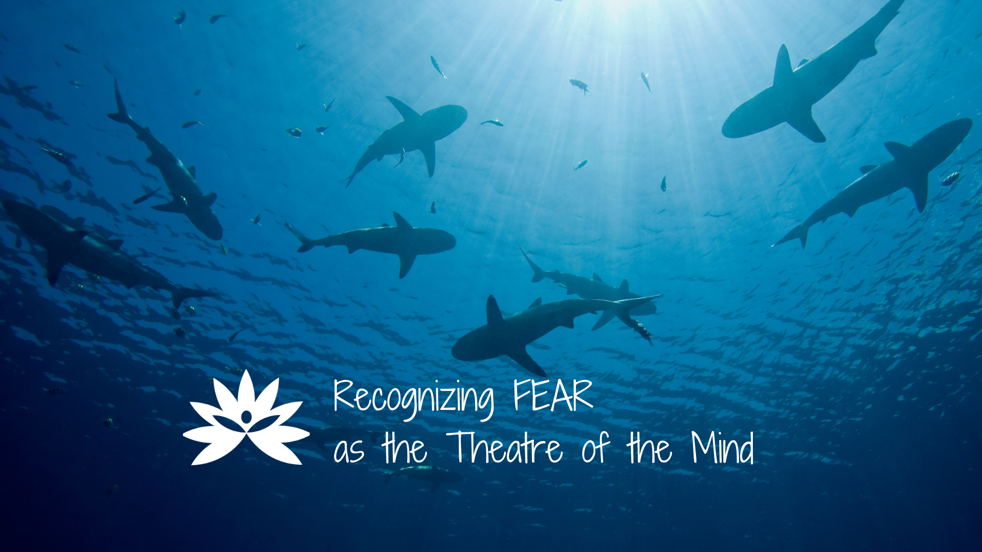 Reality Formula Live - March 8, 2023