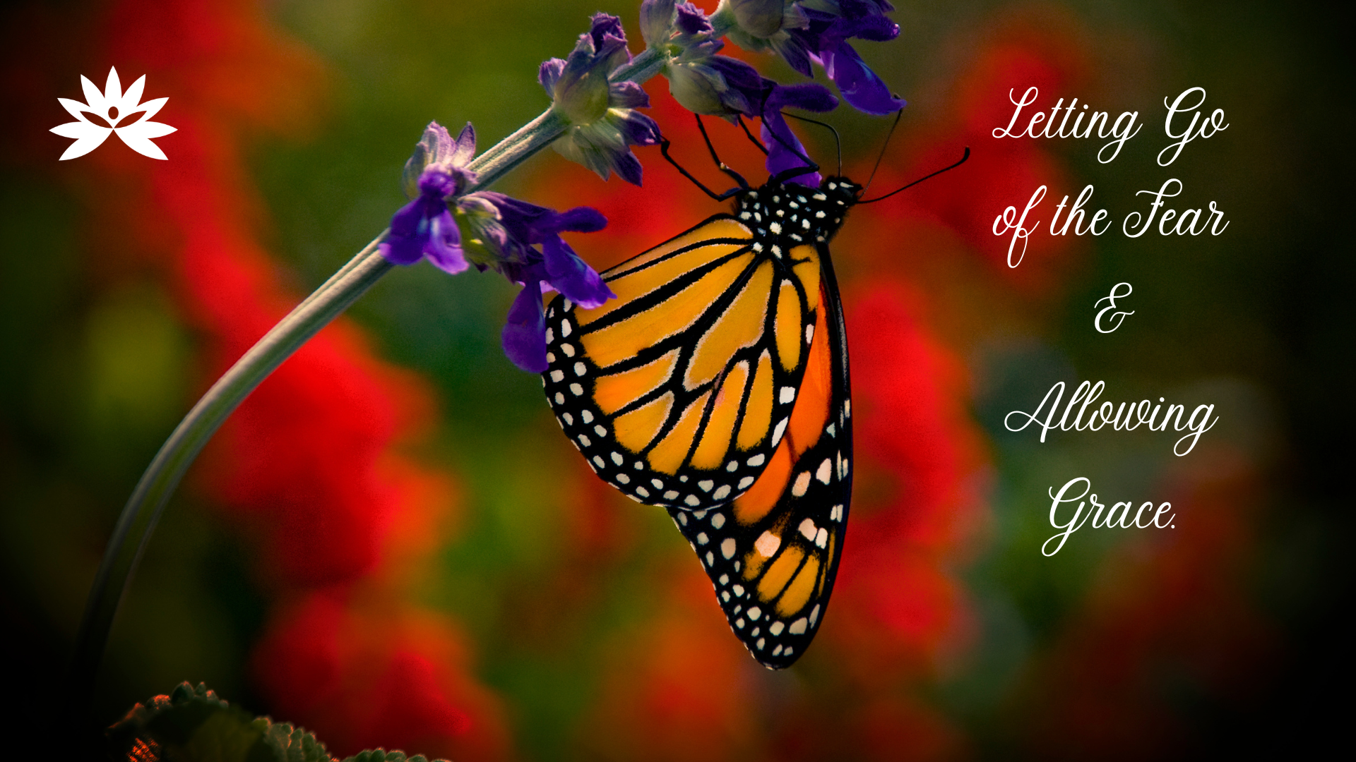 Reality Formula Live - April 23, 2024