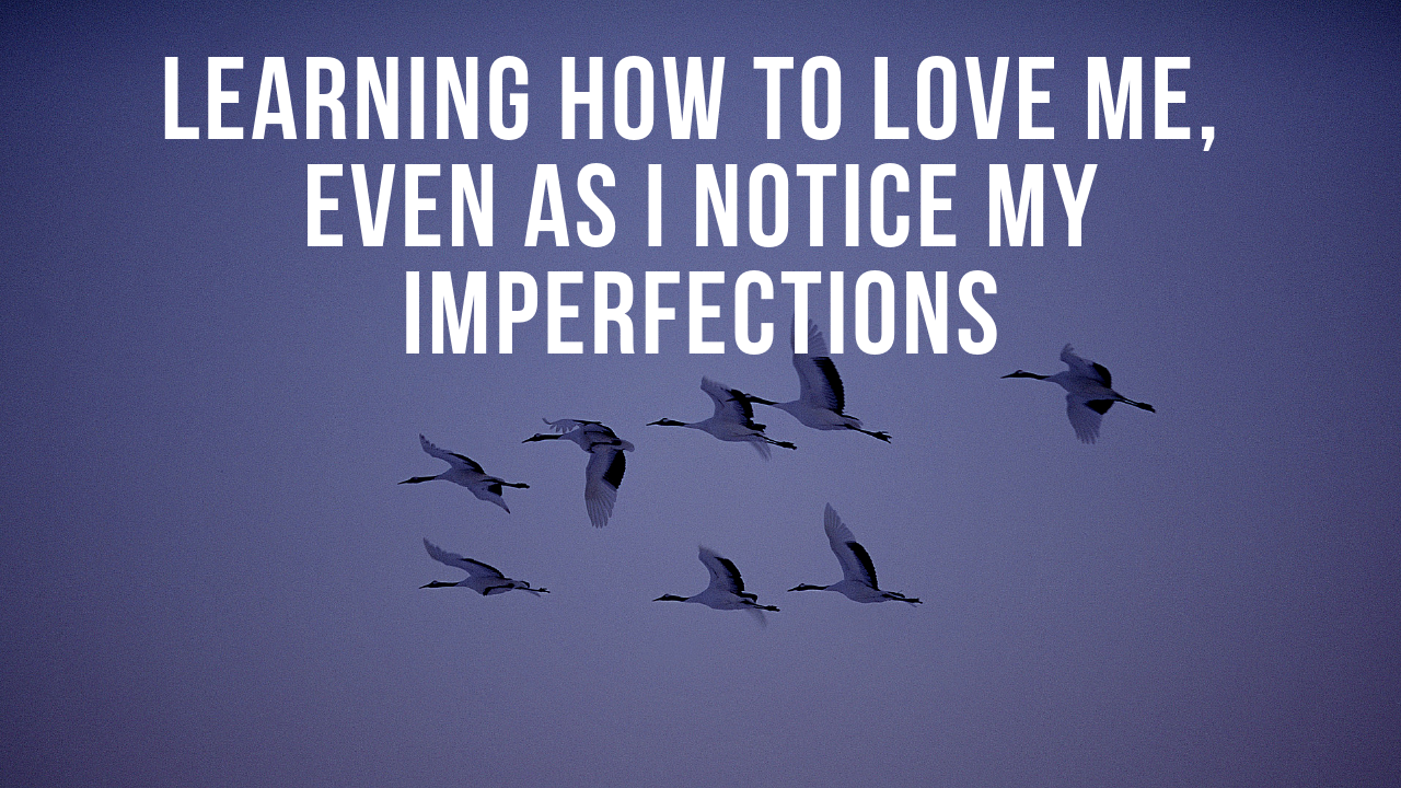 Reality Formula Live - February 13, 2019