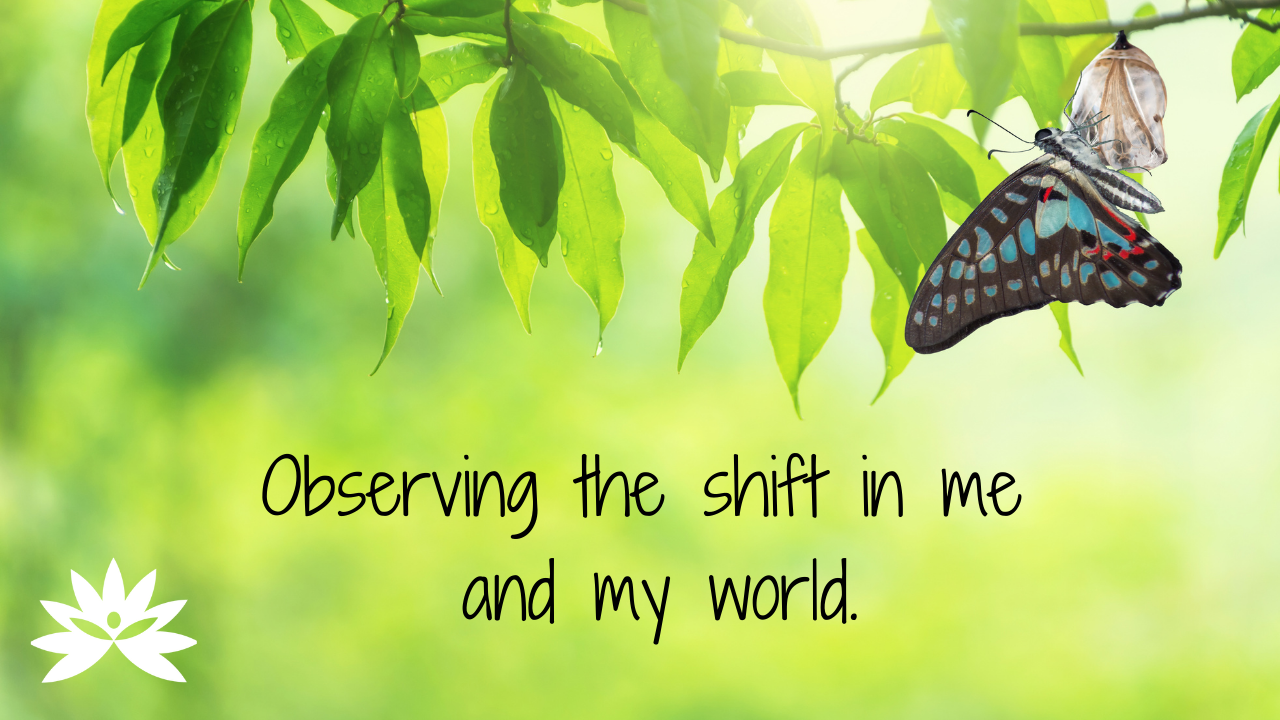 Reality Formula Live - April 19, 2022