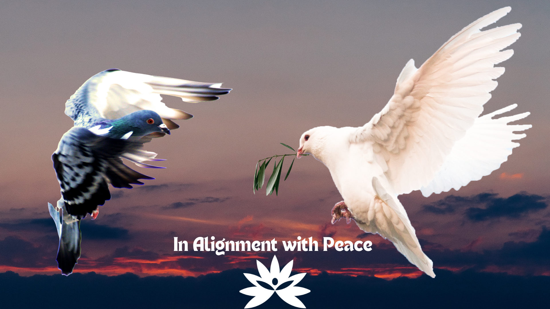 Reality Formula Live - April 28, 2023