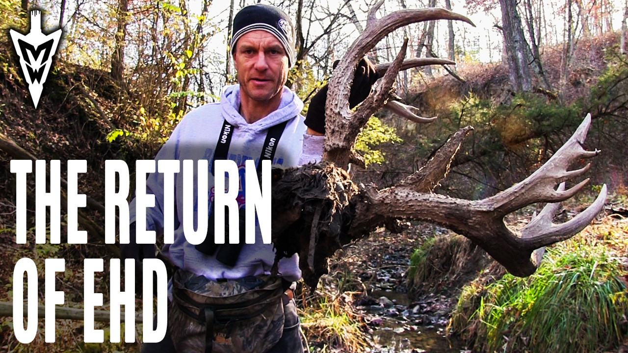 9-9-19: EHD Returns, Public Land & Kentucky Update | Midwest Whitetail