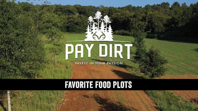 How to Select a Killer Food Plot Location