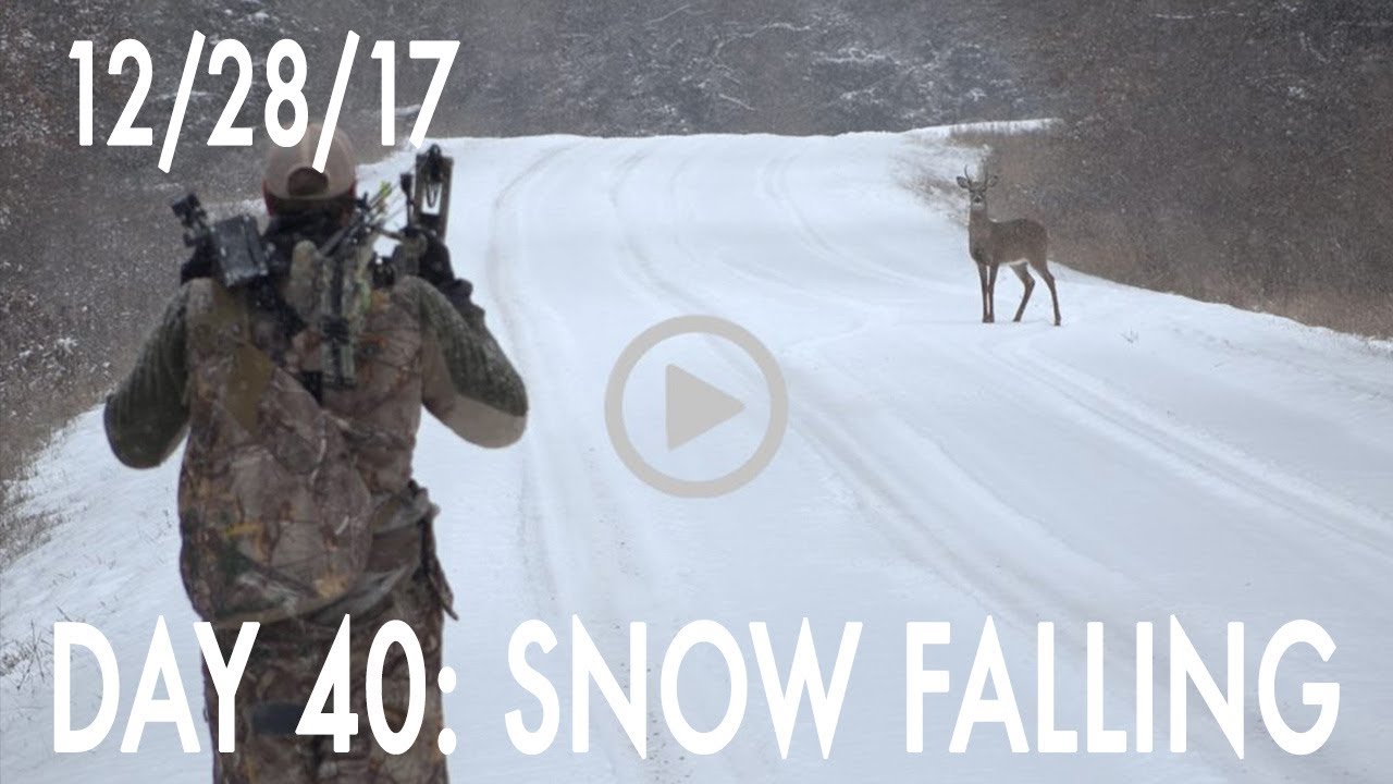 Winke Day 40: Snow Falling