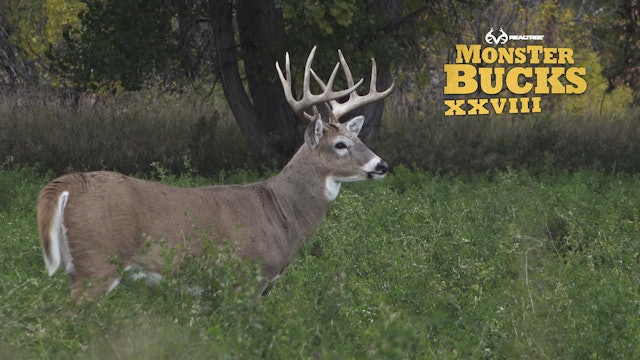 David Blanton's Montana Monarch Over a Buck Decoy | Realtree's Monster Bucks