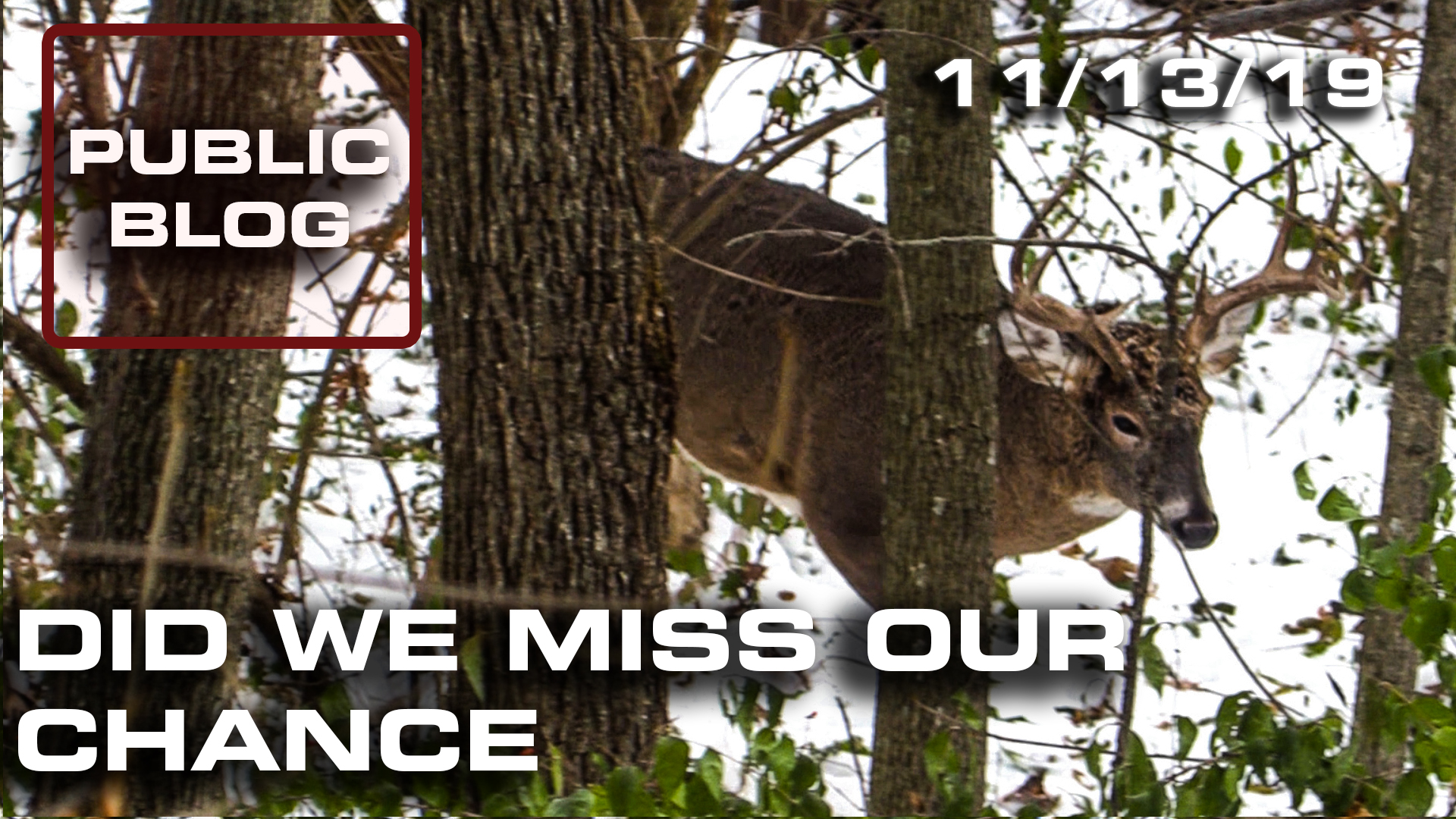 Public Land Blog | Did We Miss Our Chance?