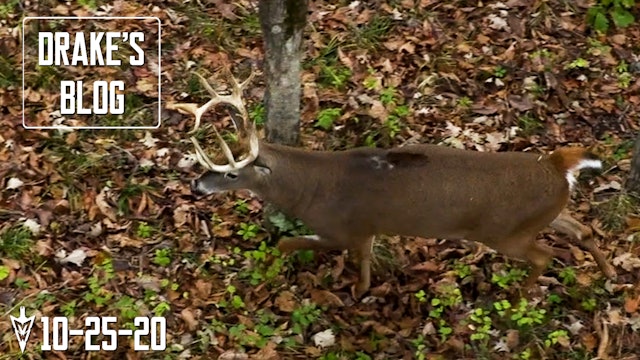 Drake's Blog: Rattling a Buck Right to the Tree | Calling to Pre-Rut Whitetails