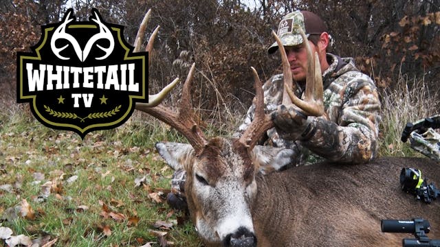 2019 Season Highlights