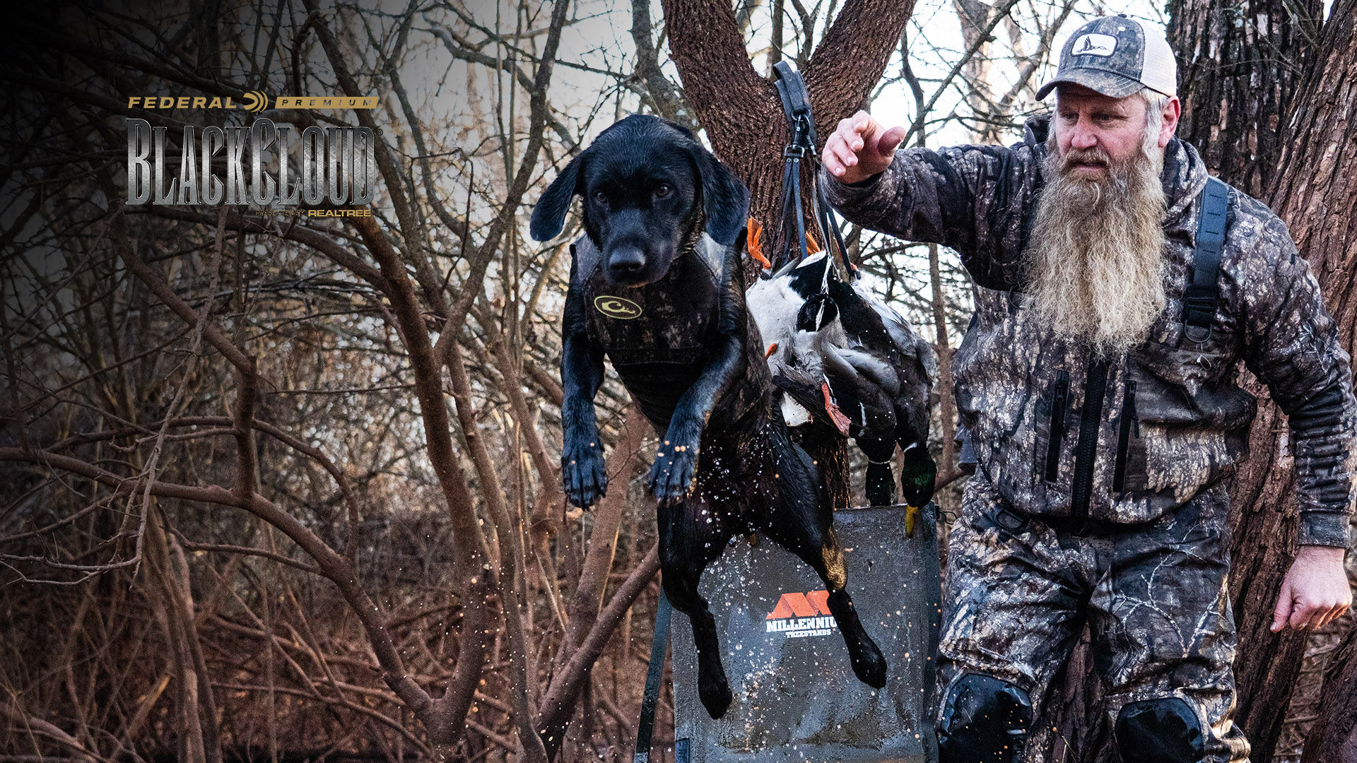 A Solo Hunt on Public Waters | Finishing Off Pressured Mallards | Black Cloud