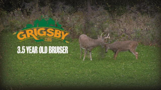 October Action: Crossbow Doe Patrol and a Bruiser 3.5-Year-Old