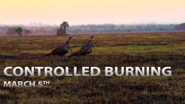 3-5-18: Controlled Burning for Turkey Habitat, Rhett Akins Hunt | Spring Thunder