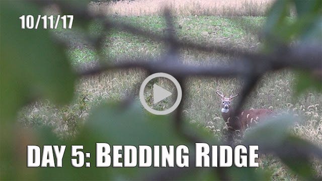 Winke Day 5: Bedding Ridge