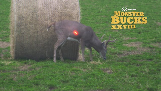 Bryan Brown's Massive Nebraska Buck |...