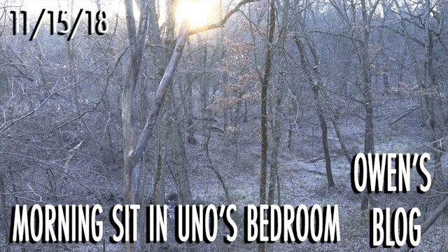 Owen's Blog: Bedding Area Hunt for Uno