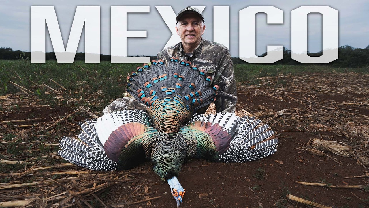 Our WILDEST Hunting Adventure YET! | Ocellated Turkey Hunting in MEXICO!