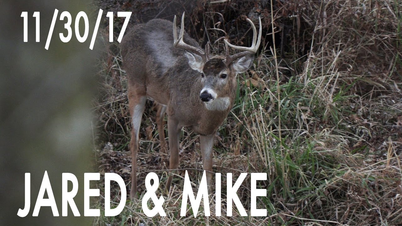 Jared's Blog: Close Call with Rex