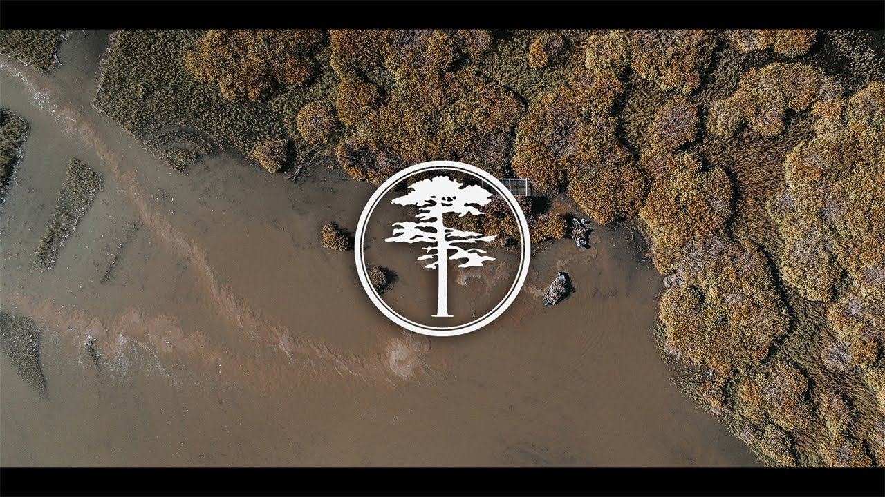 Building and Brushing in Duck Blinds | Duck Hunting Prep | DayBreak Outdoors