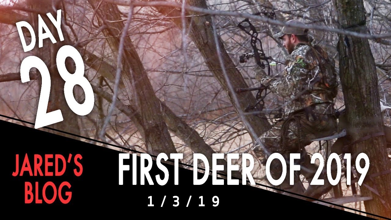 Jared's Blog: First Deer of 2019