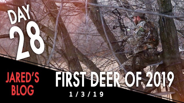Jared's Blog: First Deer of 2019