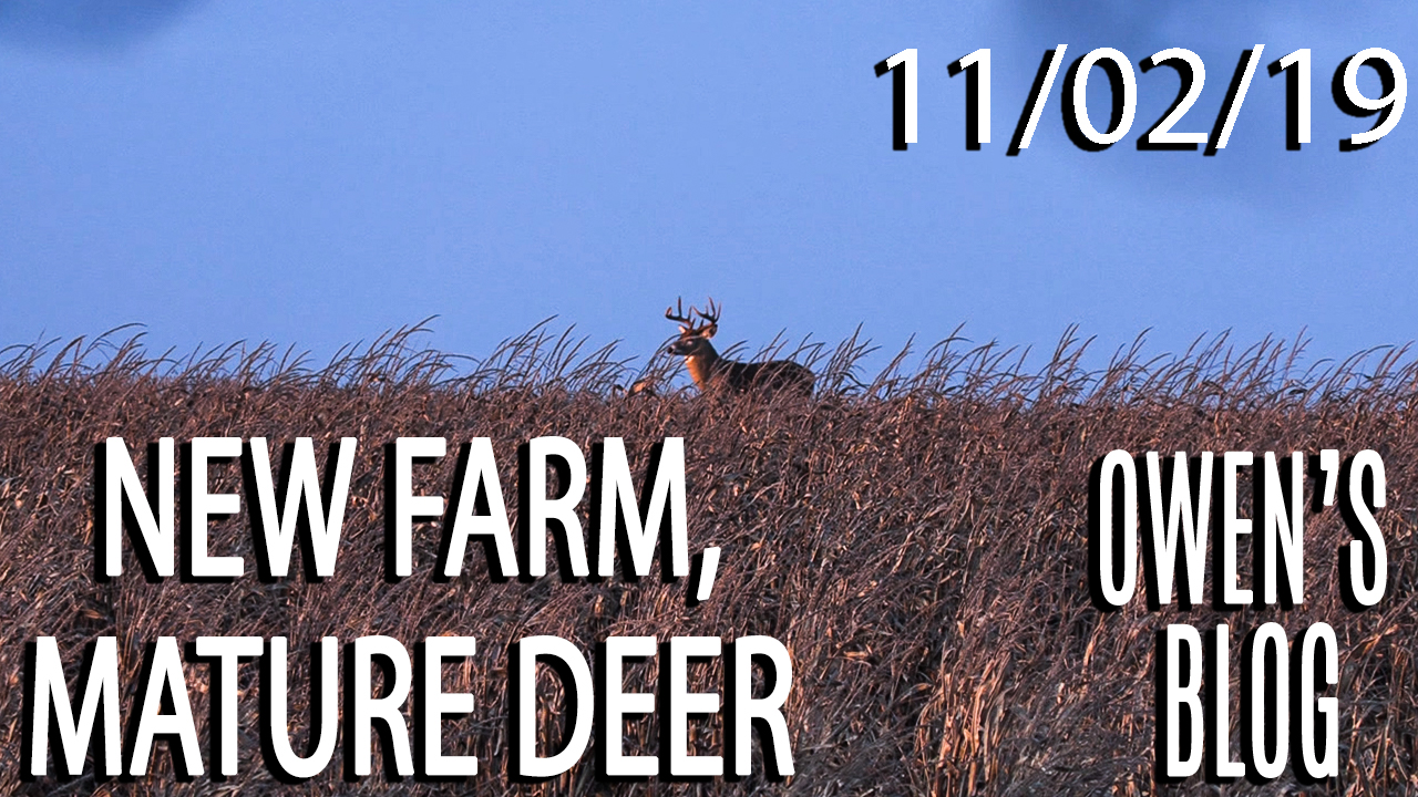 Owen's Blog: New Farm, Mature Deer