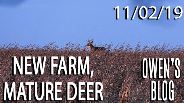 Owen's Blog: New Farm, Mature Deer