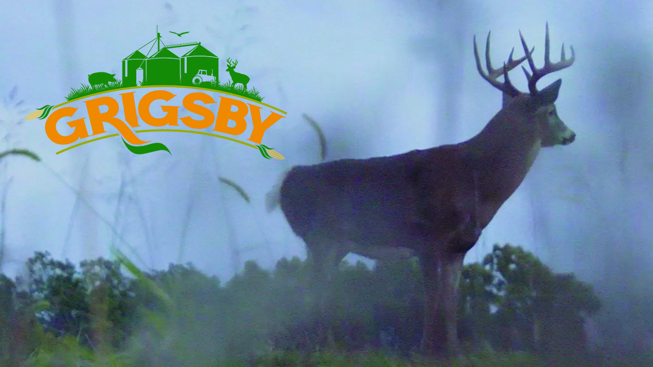 Big Bow Buck from the Ground | Tyler Jordan's Grigsby Deer | Grigsby