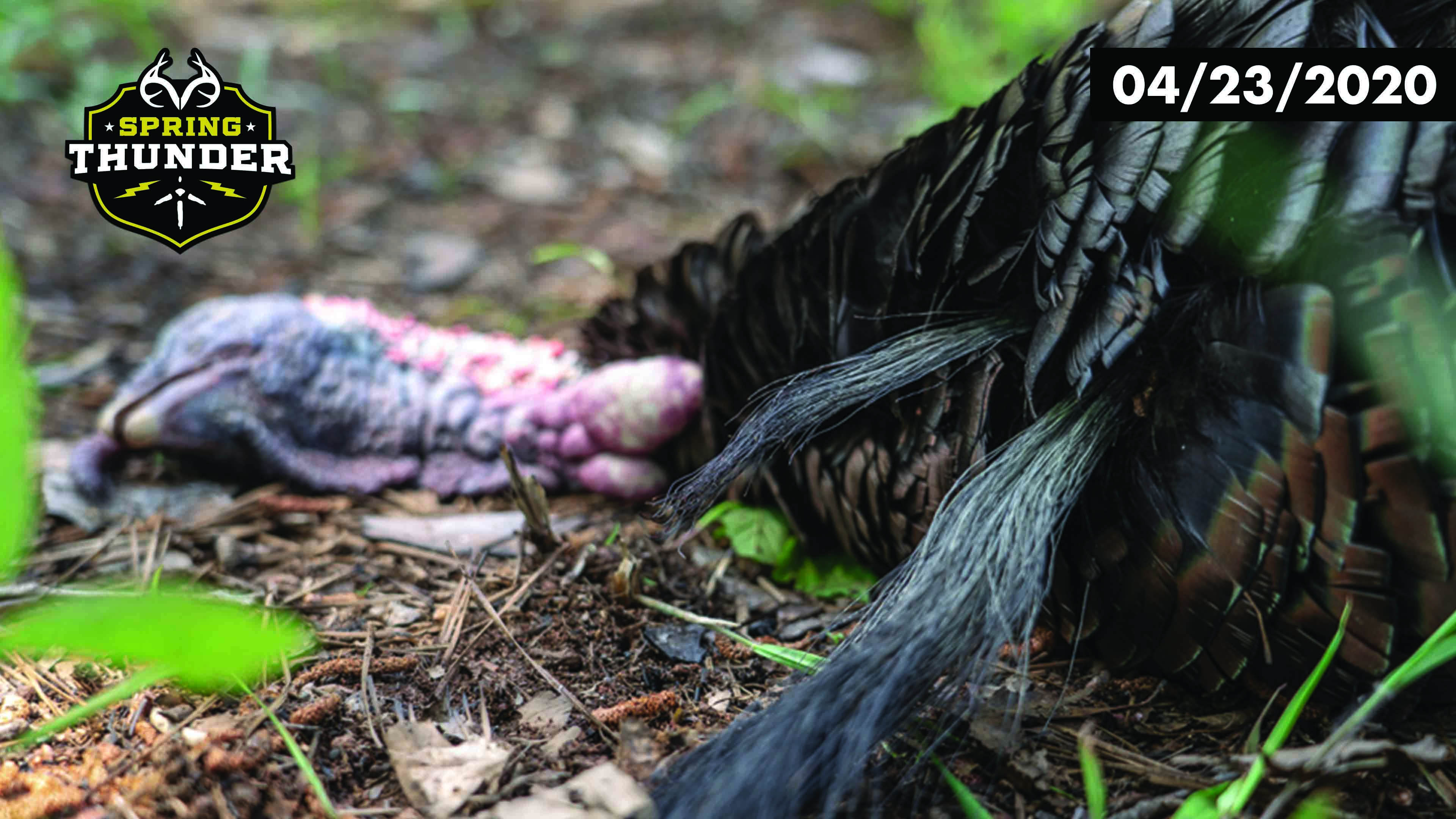 Culpepper Bags Flying Gobbler | Double-Bearded Turkey | Realtree Spring Thunder