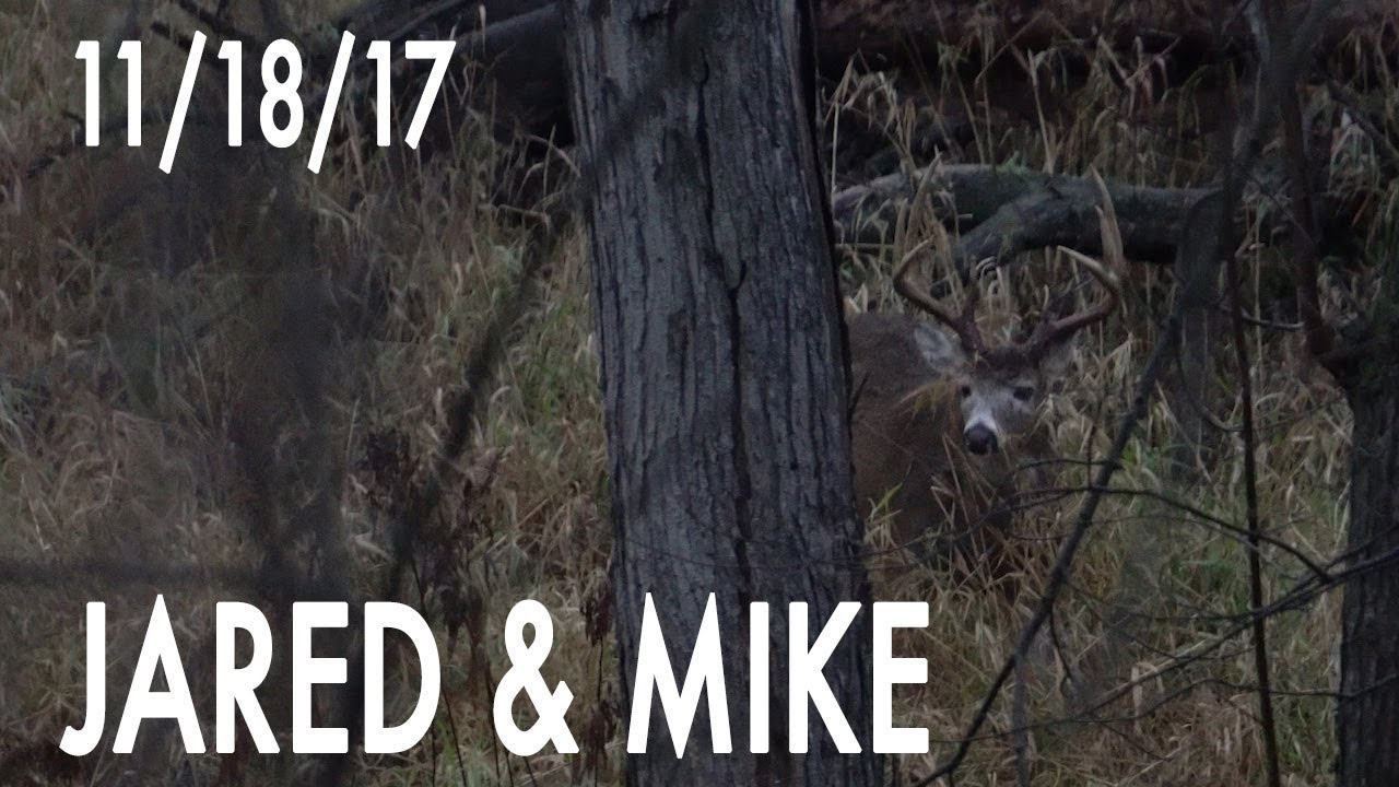 Jared's Blog: High Winds, Giant 8 Pointer