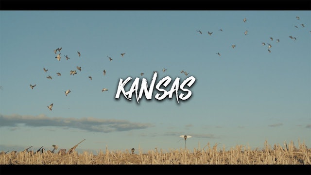 40 Mallards in 40 Minutes | Dry-Field Duck Hunting in Kansas | DayBreak Outdoors