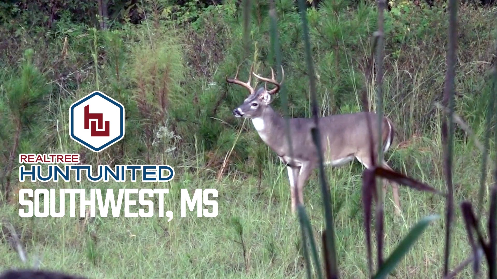 Opening Week of Bow Season in the Deep South