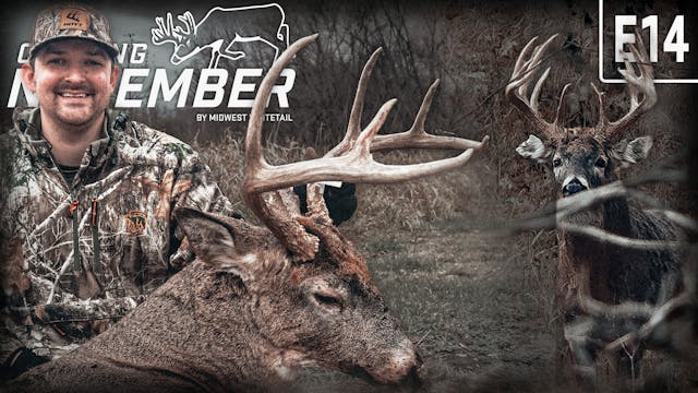 Rattling in a Public-Land Bruiser | H...