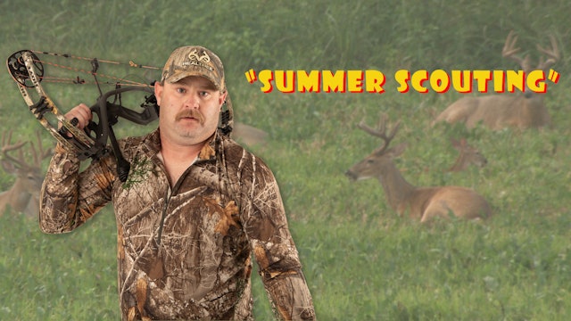 Pitts on: "Summer Scouting"
