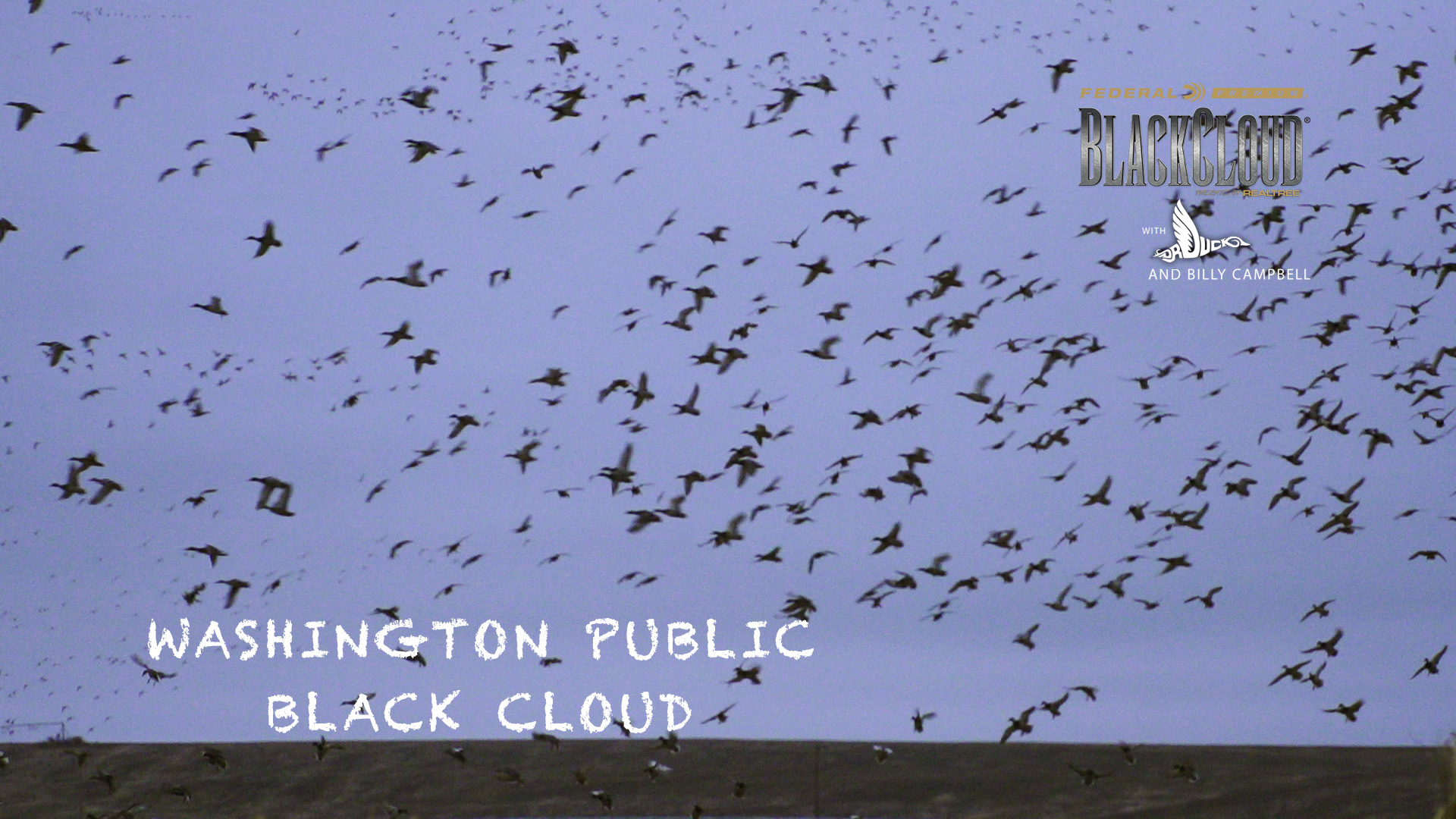 Washington Public-Land Duck Hunting